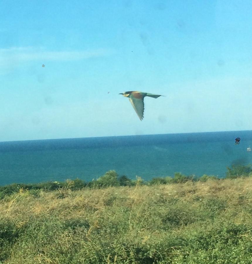 טורינו די סנגרו Agriturismo La Costa Dei Trabocchi מראה חיצוני תמונה