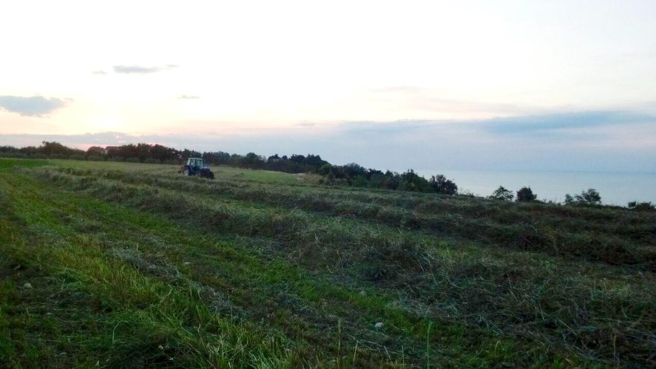 טורינו די סנגרו Agriturismo La Costa Dei Trabocchi מראה חיצוני תמונה
