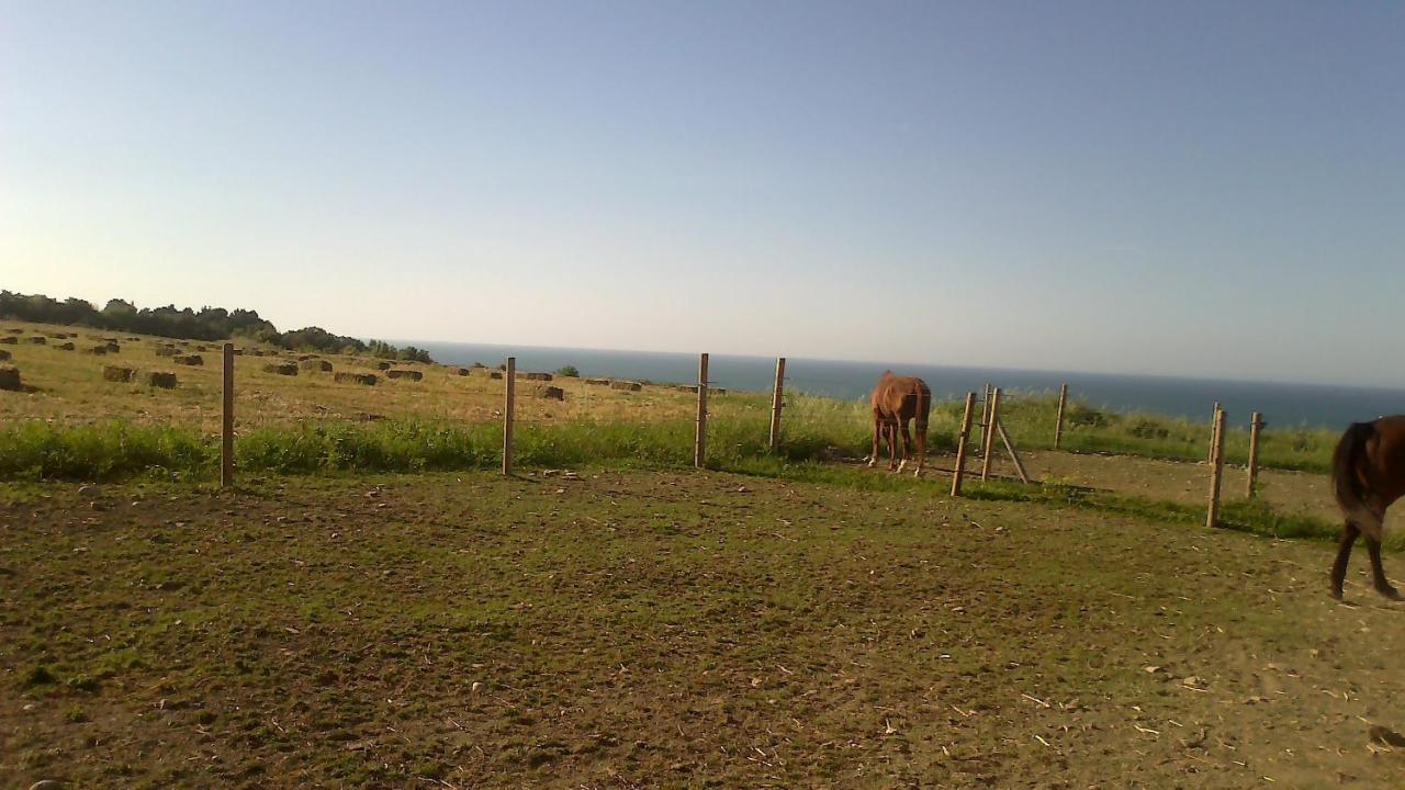 טורינו די סנגרו Agriturismo La Costa Dei Trabocchi מראה חיצוני תמונה